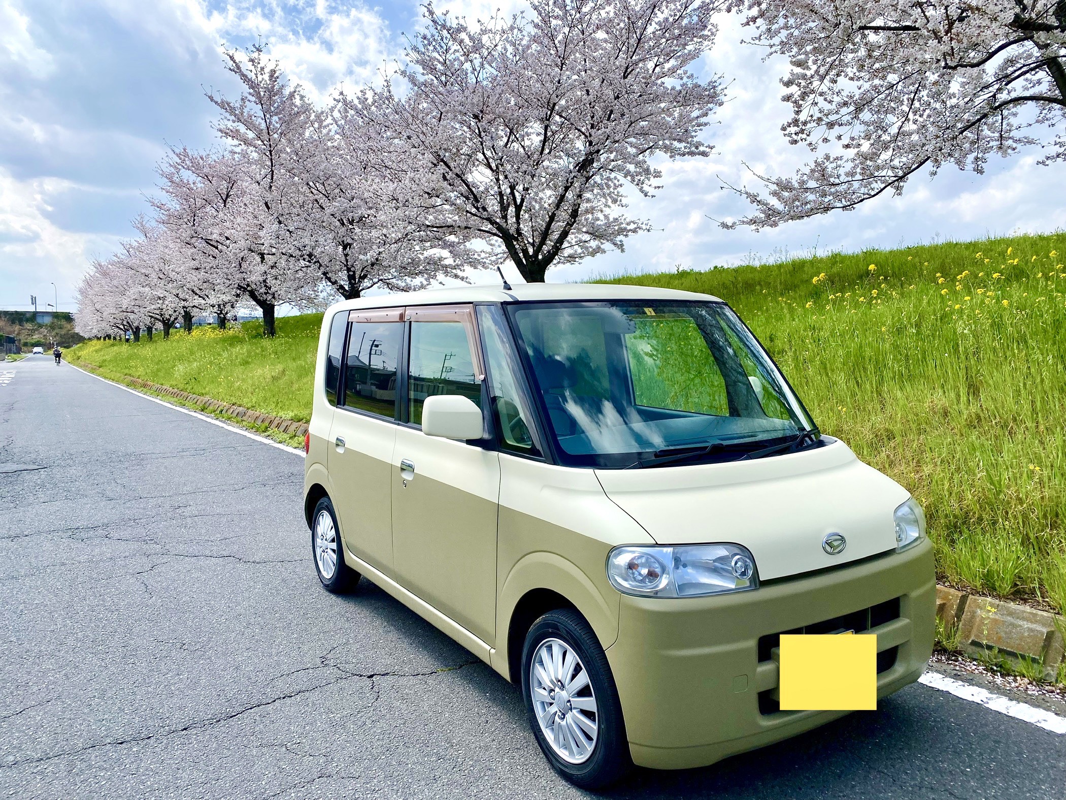 桜＆菜の花＆マット2トーンカラー！