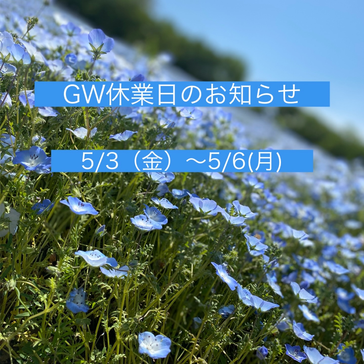 GW休業日のお知らせ